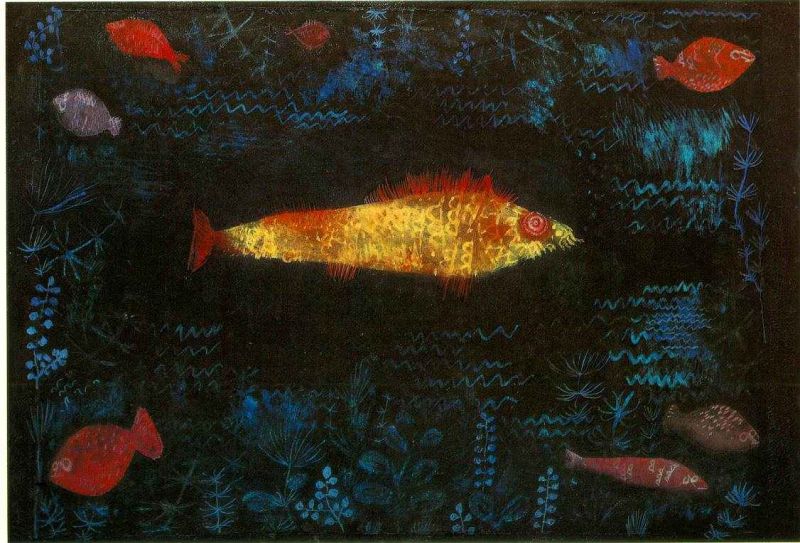 the golden fish.jpg